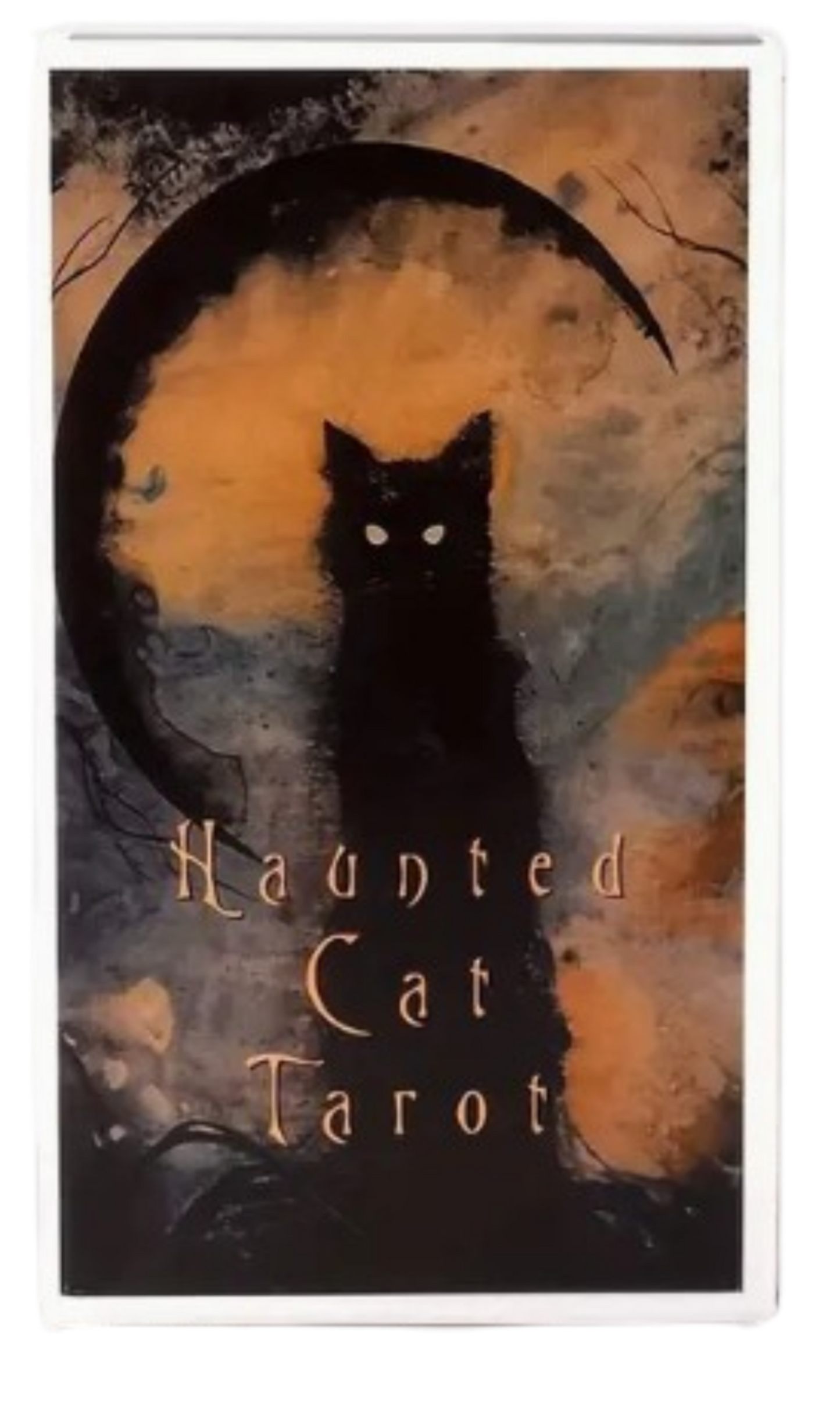 Haunted Cat Tarot