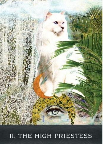 Grimalkins Curious Cats Tarot