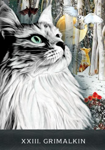 Grimalkins Curious Cats Tarot